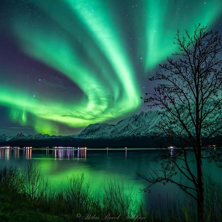 Lena Apartment Tromso Kvaloya Dış mekan fotoğraf