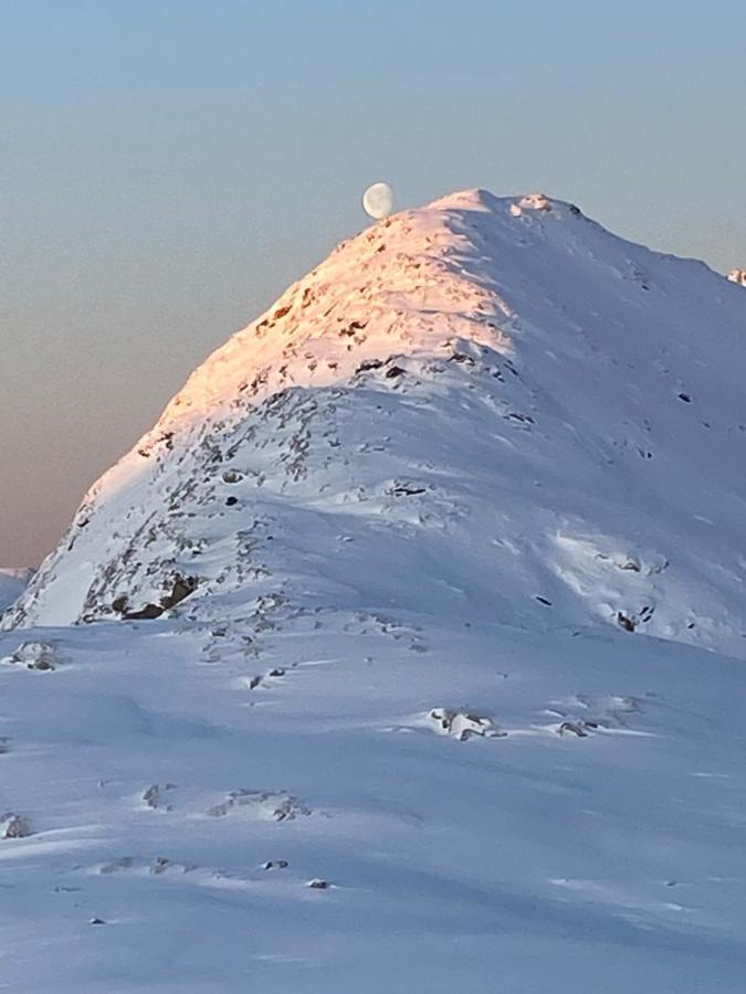 Lena Apartment Tromso Kvaloya Dış mekan fotoğraf