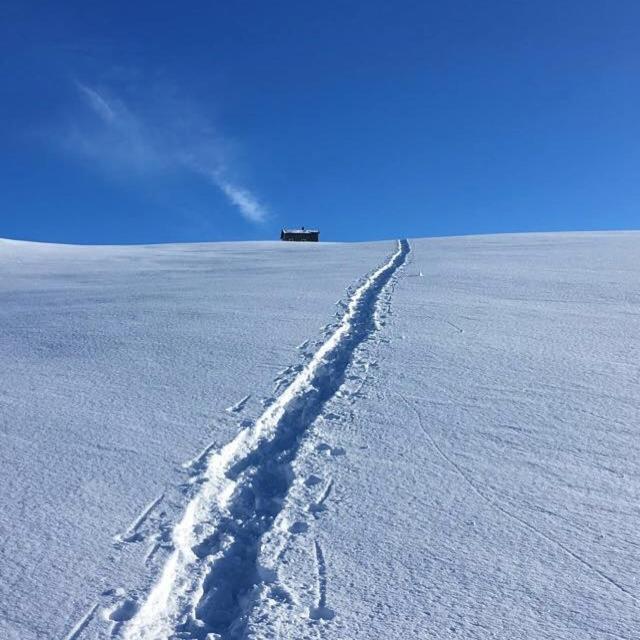 Lena Apartment Tromso Kvaloya Dış mekan fotoğraf